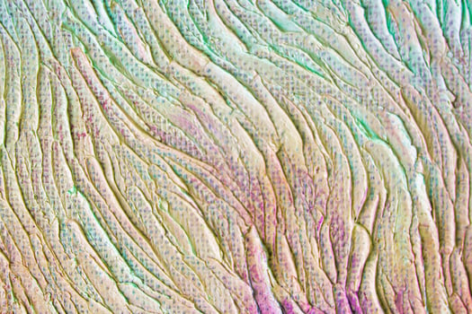 Colorful abstract oil painting art background. Texture of canvas and oil. photo