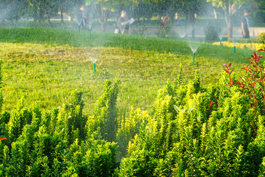 Automatic lawn watering system watering the young green lawn grass in the park. photo