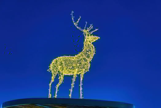 A luminous christmas deer from garlands. photo