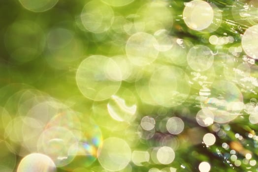 Spring. Beautiful natural background of green grass with dew and water drops. Seasonal concept - morning in nature. photo