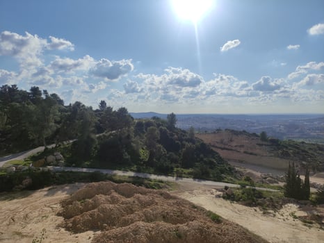 Wildflower Fields Bathe in Sunlight near Emek HaEla, Israel photo