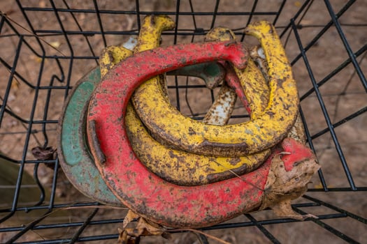 Horseshoe game in a basket photo