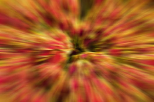 Abstract blurred colorful background. photo