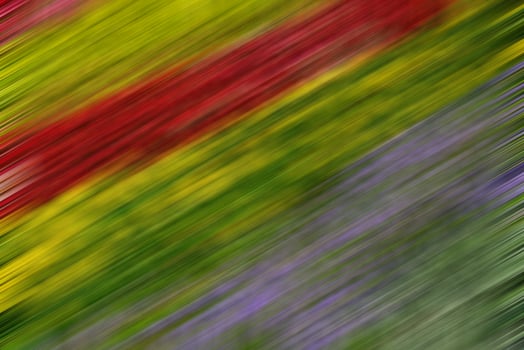 Abstract blurred colorful background. photo