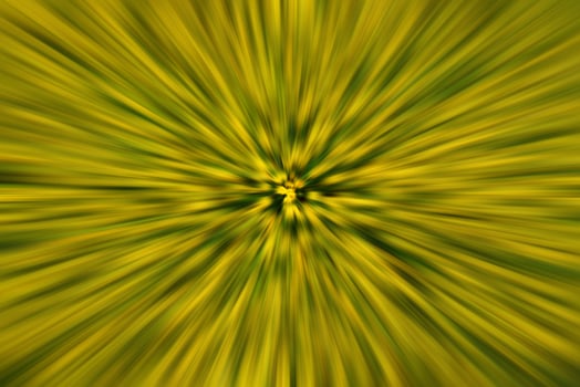 Abstract blurred colorful background. photo