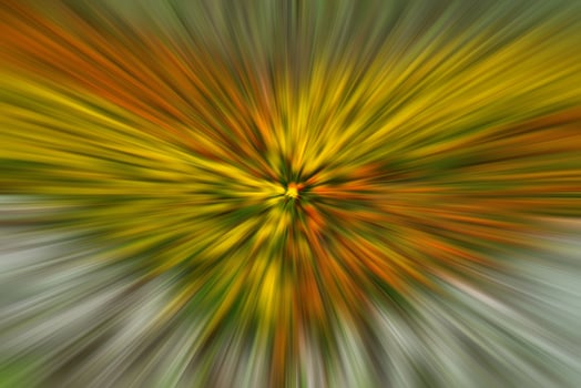 Abstract blurred colorful background. photo