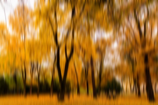 Autumn park vertical motion blurr background. Fall season abstract. photo