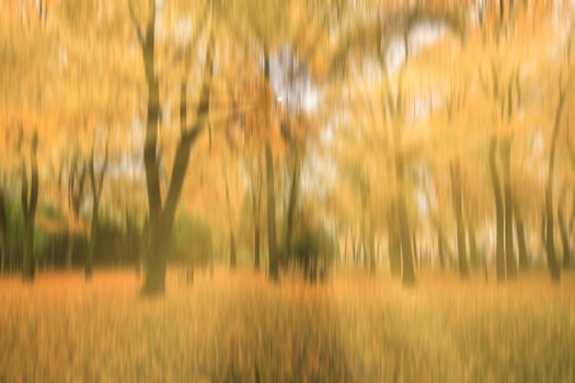 Autumn park with sunshine and vertical motion blurr background. Fall season abstract. photo