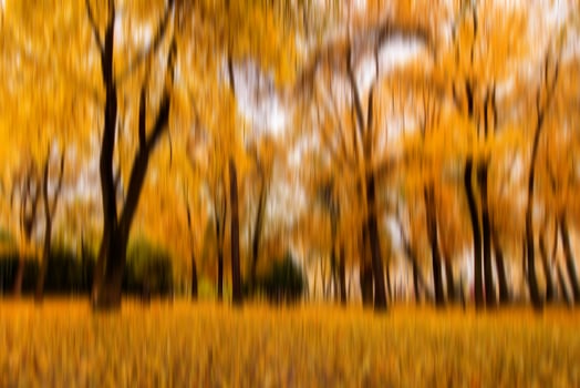Autumn park vertical motion blurr background. Fall season abstract. photo