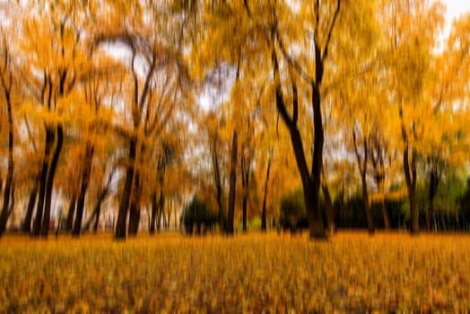 Autumn park vertical motion blurr background. Fall season abstract. photo