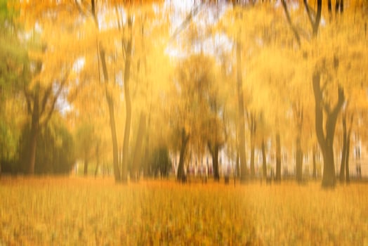 Autumn park with sunshine and vertical motion blurr background. Fall season abstract. photo