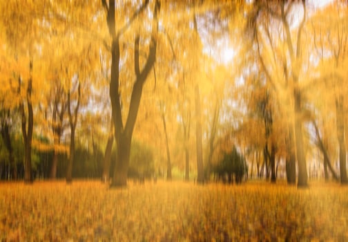 Autumn park with sunshine and vertical motion blurr background. Fall season abstract. photo