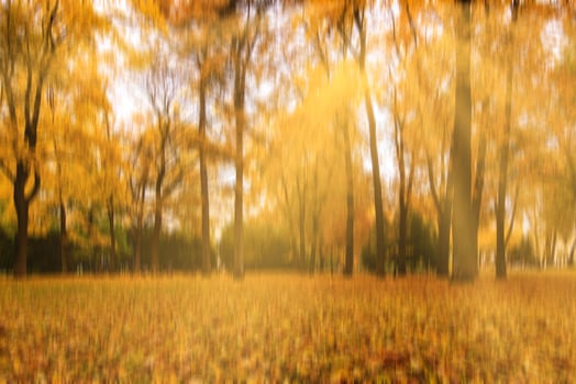 Autumn park with sunshine and vertical motion blurr background. Fall season abstract. photo