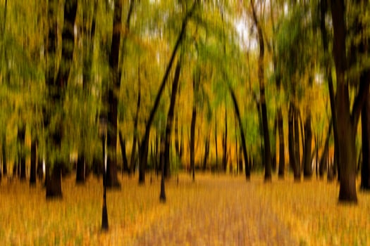 Autumn park vertical motion blurr background. Fall season abstract. photo