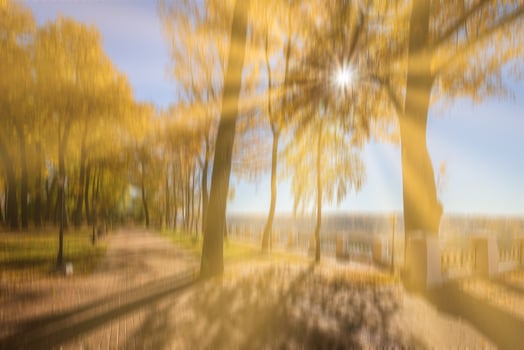 Autumn park with sunshine and vertical motion blurr background. Fall season abstract. photo