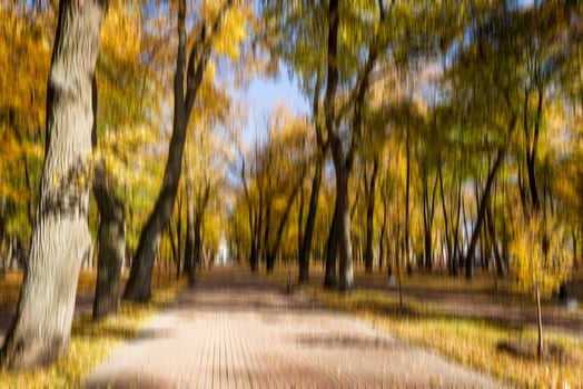 Autumn park vertical motion blurr background. Fall season abstract. photo