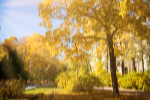 Autumn park with sunshine and vertical motion blurr background. Fall season abstract. photo