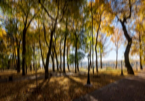 Autumn park vertical motion blurr background. Fall season abstract. photo