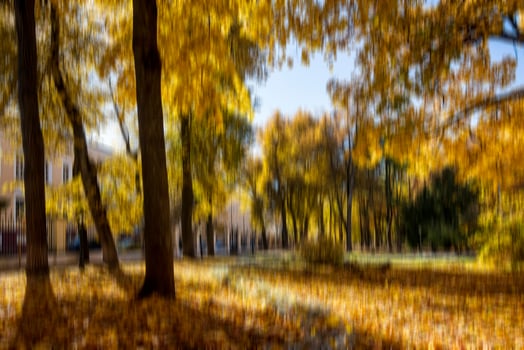 Autumn park vertical motion blurr background. Fall season abstract. photo