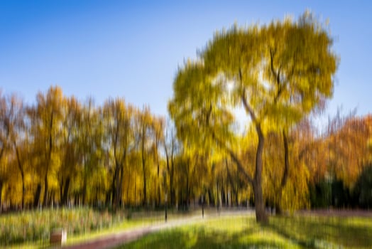 Autumn park vertical motion blurr background. Fall season abstract. photo