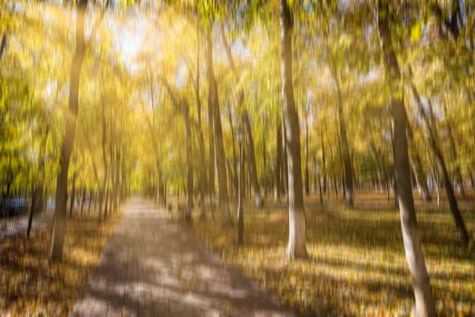 Autumn park with sunshine and vertical motion blurr background. Fall season abstract. photo