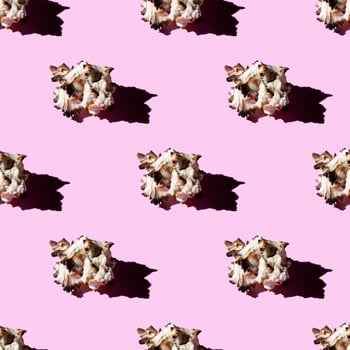 Seamless pattern of clam shells on a pastel pink background. photo