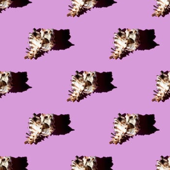 Seamless pattern of clam shells on a pastel background. photo