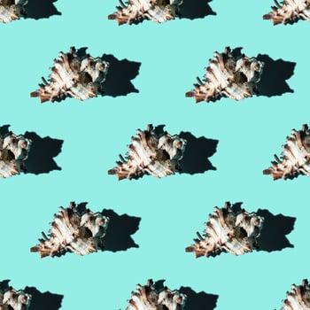 Seamless pattern of clam shells on a cyan background. photo