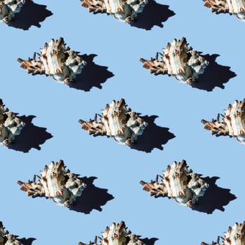 Seamless pattern of clam shells on a blue background. photo