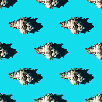 Seamless pattern of clam shells on a cyan background. photo
