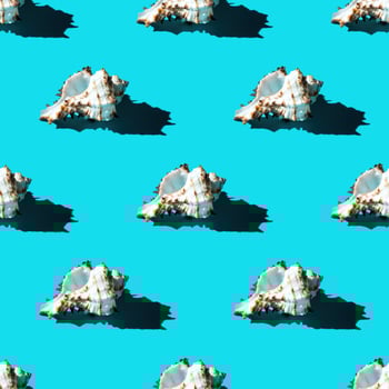 Seamless pattern of clam shells on a cyan background. photo