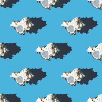 Seamless pattern of clam shells on a blue background. photo