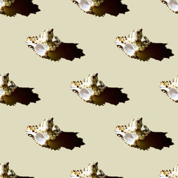 Seamless pattern of clam shells on a pastel yellow background. photo