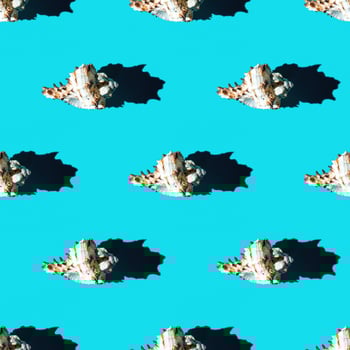 Seamless pattern of clam shells on a cyan background. photo