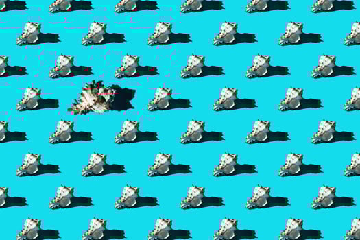 Pattern of clam shells on a cyan background. photo