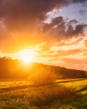 Sunset or sunrise in a spring field with green grass and willow trees. photo