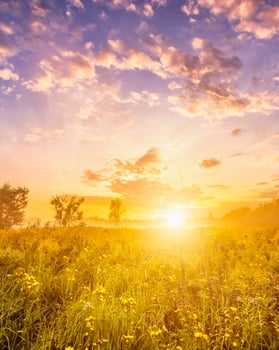 Sunrise on a field with wildflowers and cloudy sky. photo