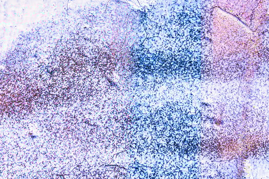 Colorful graffiti painted on a wall. Abstract urban background. photo
