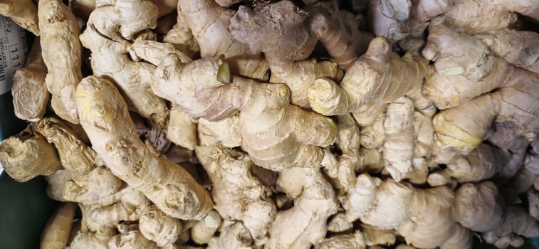 close up of garlic photo