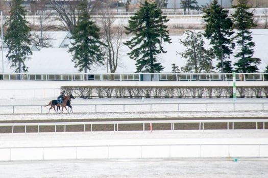 Race horse with jockeys on the home straight. Shaving effect. photo