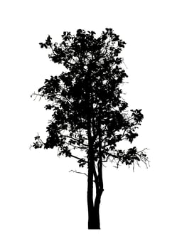 Tree silhouette for brush on white background. photo