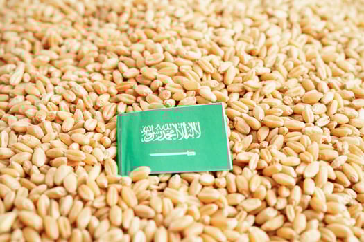 Saudi Arabia flag on grain wheat, trade export and economy concept. photo