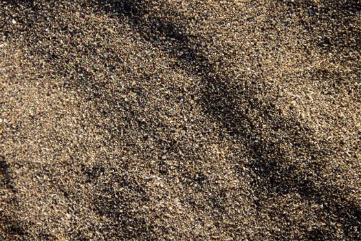 Macro Shot of Detailed Ground Texture. photo