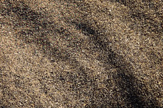 Macro Shot, Detailed Ground Texture Close Up. photo