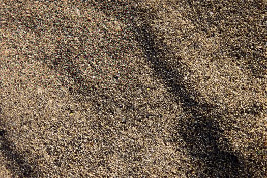 Macro Shot, Detailed Ground Texture Close Up. photo