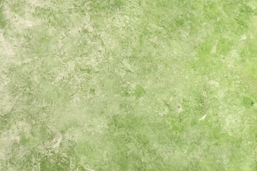 Vibrant Green Stucco Wall, Textured Background for Creative Projects. photo