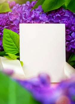 beautiful dark purple fresh lilac on the pink background, purple background photo