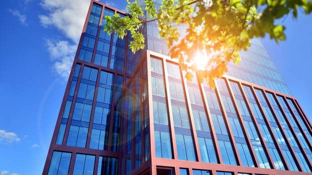 Eco building in modern city concept. Modern office building with the fresh green leaves. photo