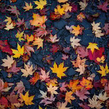 Seamless pattern of maple leaves scattered on the ground photo