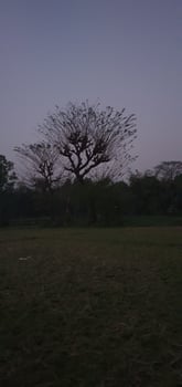 sky view mid day evening and night photo
